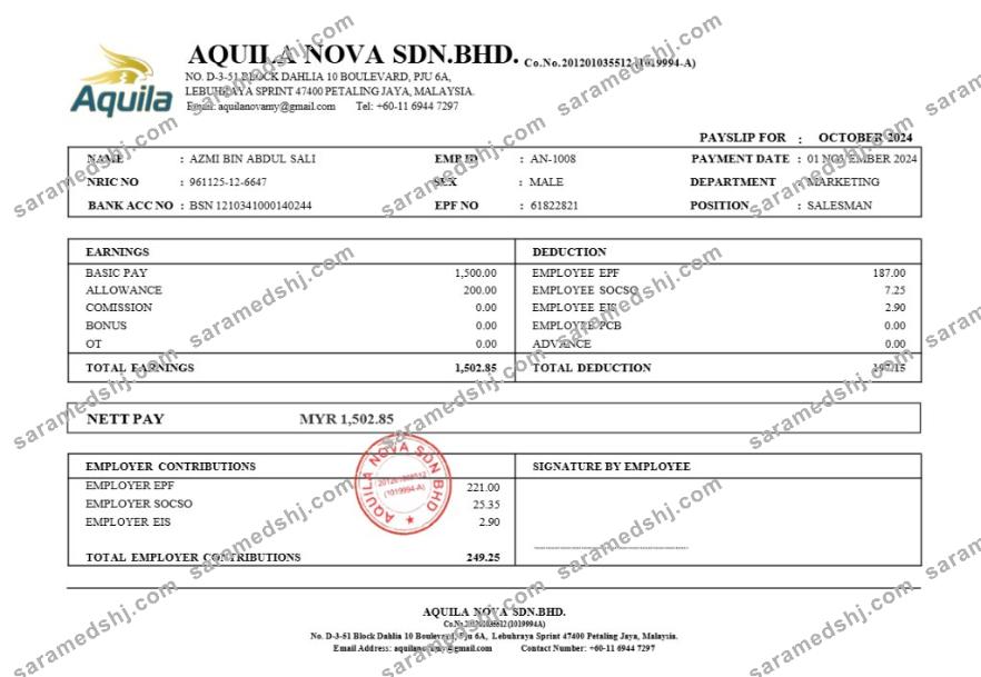 Aquila Nova consultant in Singapore payslip template in Word and PDF formats.pdf, 1